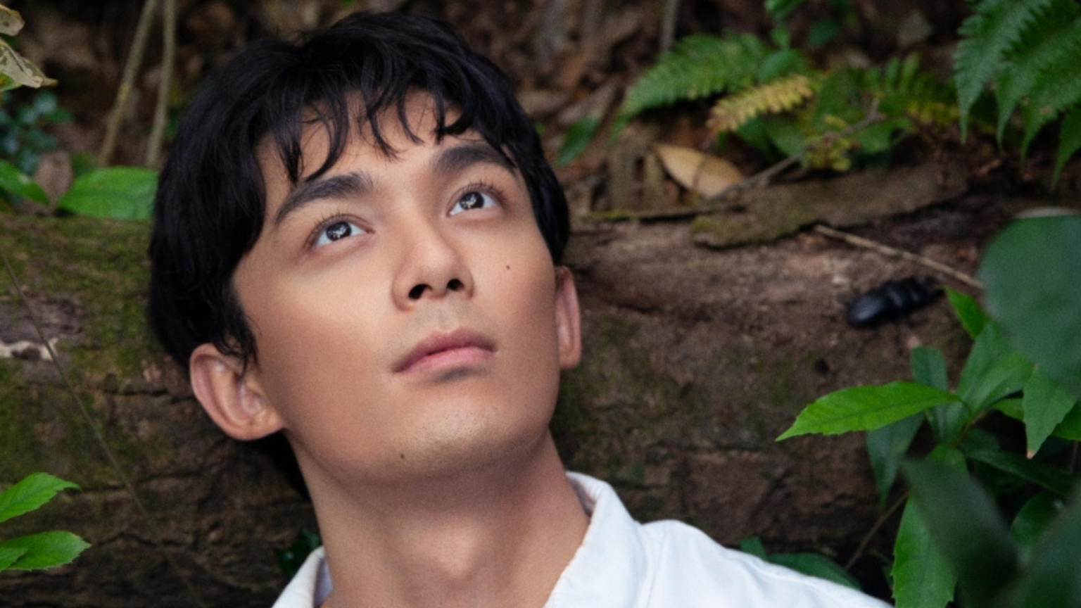 AFA 17 Reveals its First Wave of Programmes! Asian Film Awards Academy